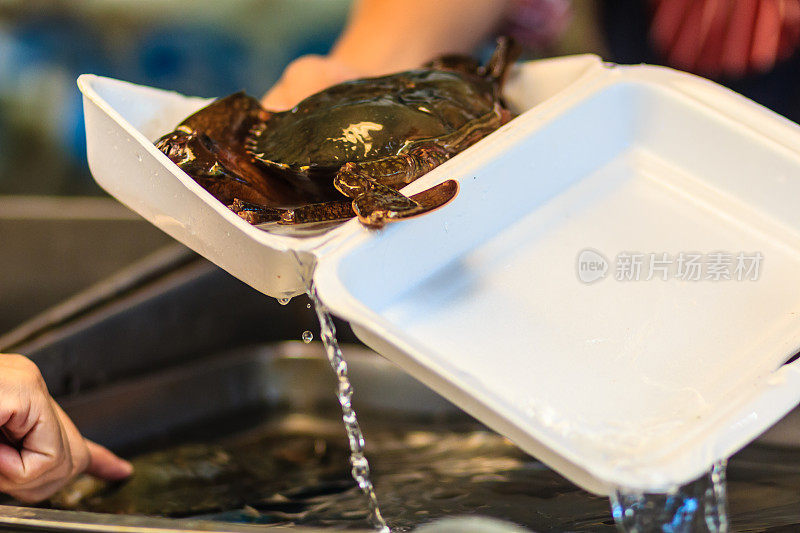 软壳沙蟹(红树蟹、黑蟹)在海鲜市场出售。软壳蟹(soft -shell crab)是一个烹饪术语，指那些刚换掉旧外骨骼，仍然很软的螃蟹。